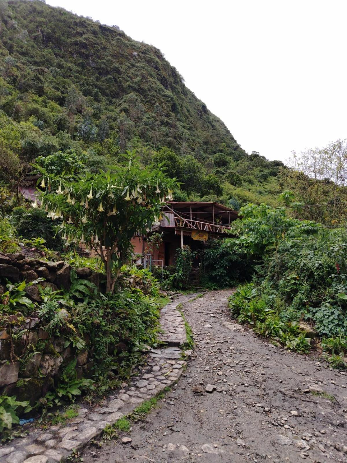 Hostel Samana Wasi Chaullay Cusco Exterior foto